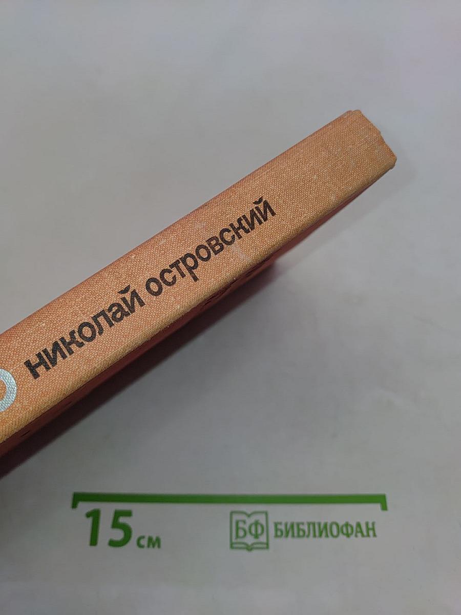 Рожденные бурей. Том 2
