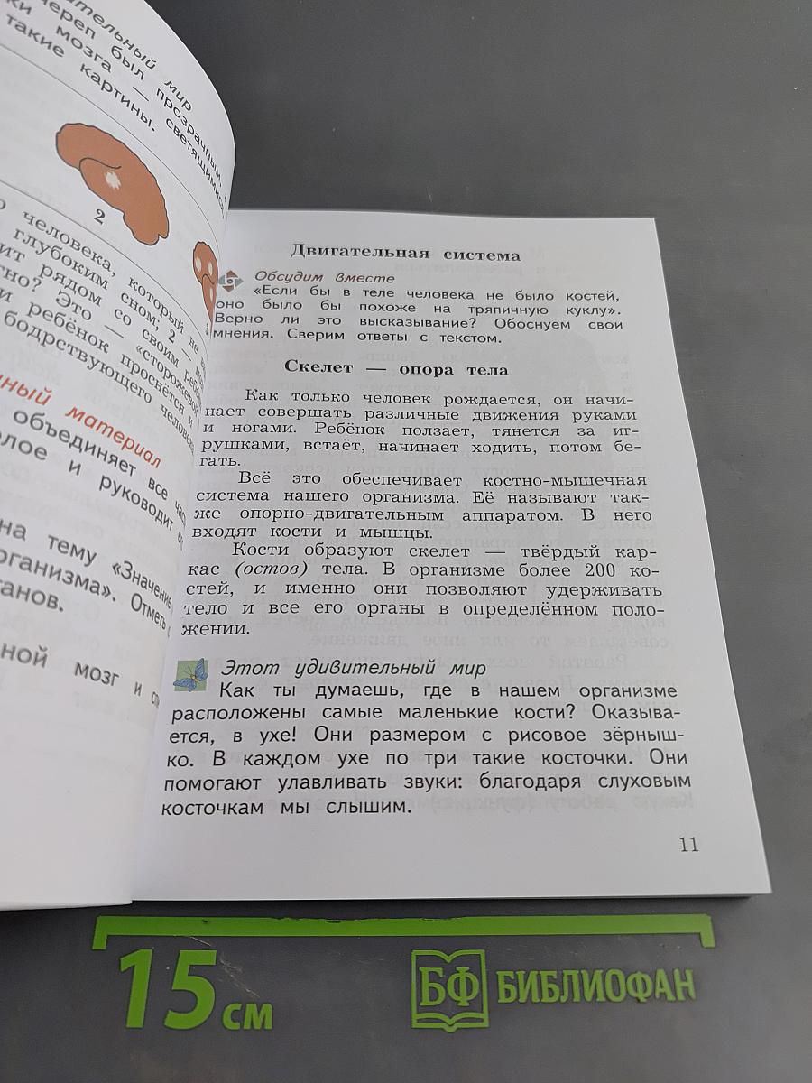 Окружающий мир. Учебник. 4 класс. Часть первая