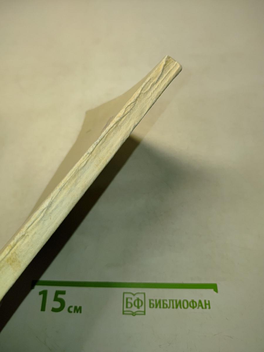 Большой ринг