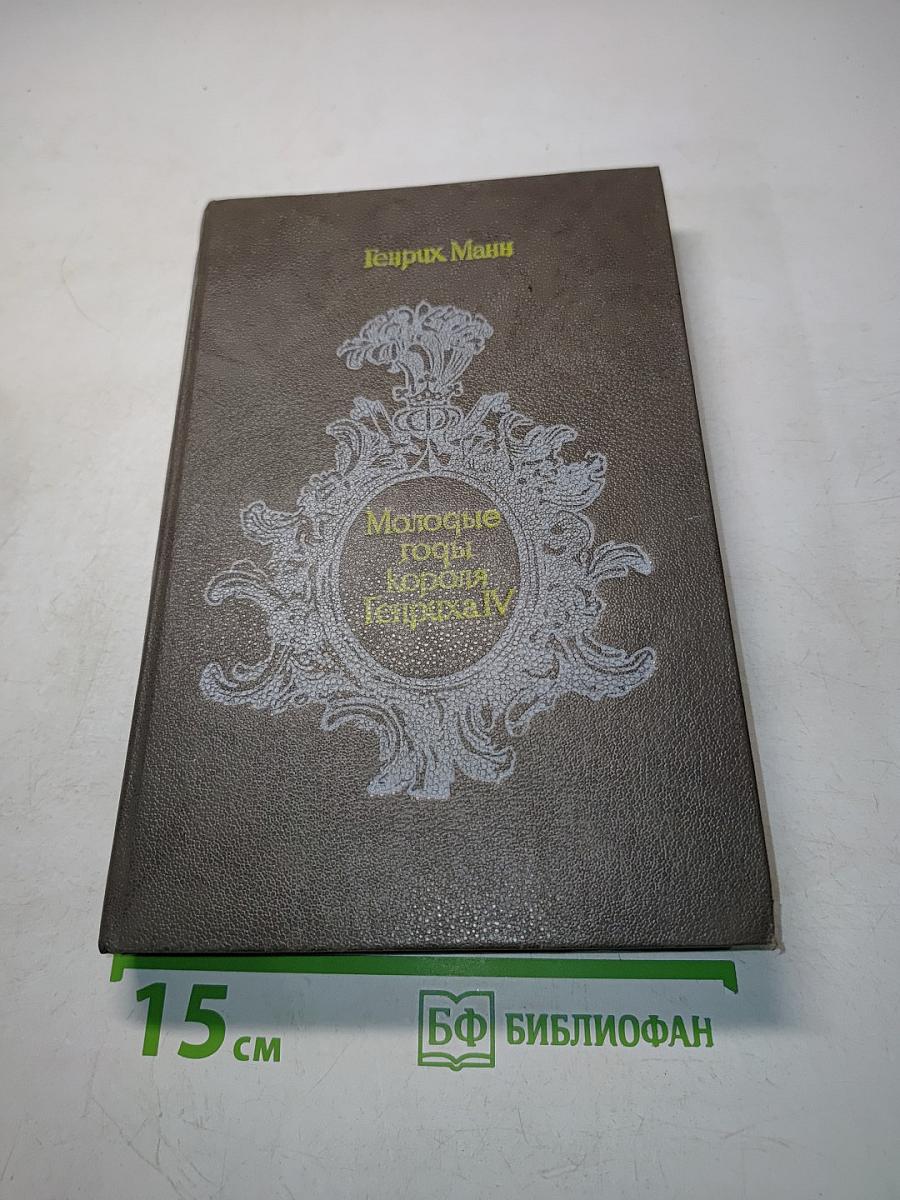Молодые годы короля Генриха IV
