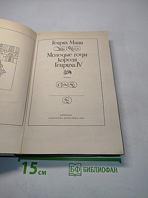 Молодые годы короля Генриха IV