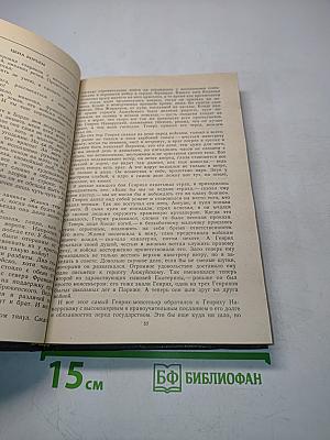 Молодые годы короля Генриха IV