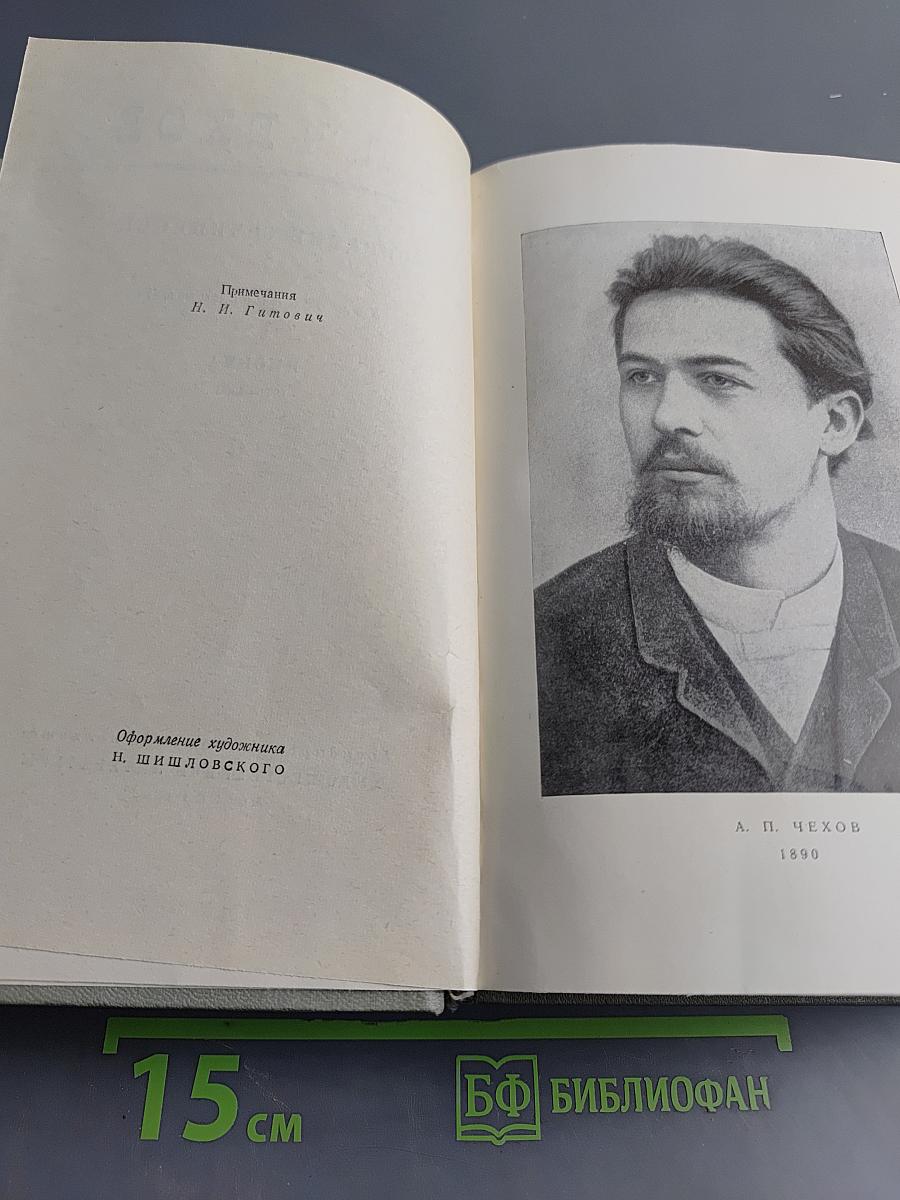 Собрание сочинений. Том одиннадцатый. Письма 1877-1892