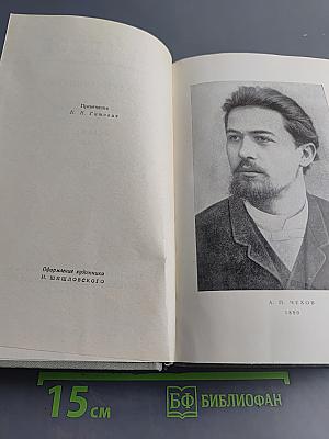 Собрание сочинений. Том одиннадцатый. Письма 1877-1892
