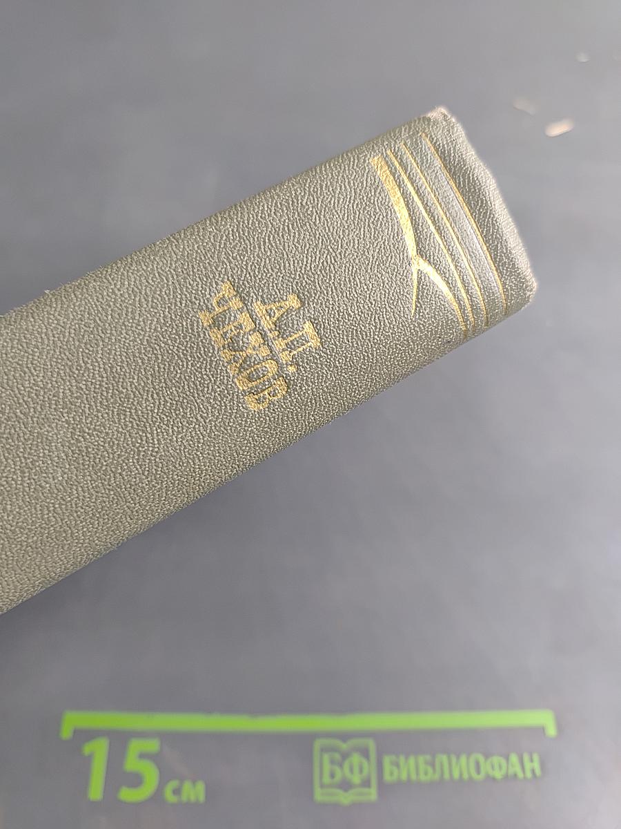Собрание сочинений. Том одиннадцатый. Письма 1877-1892