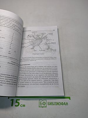 Пекинес