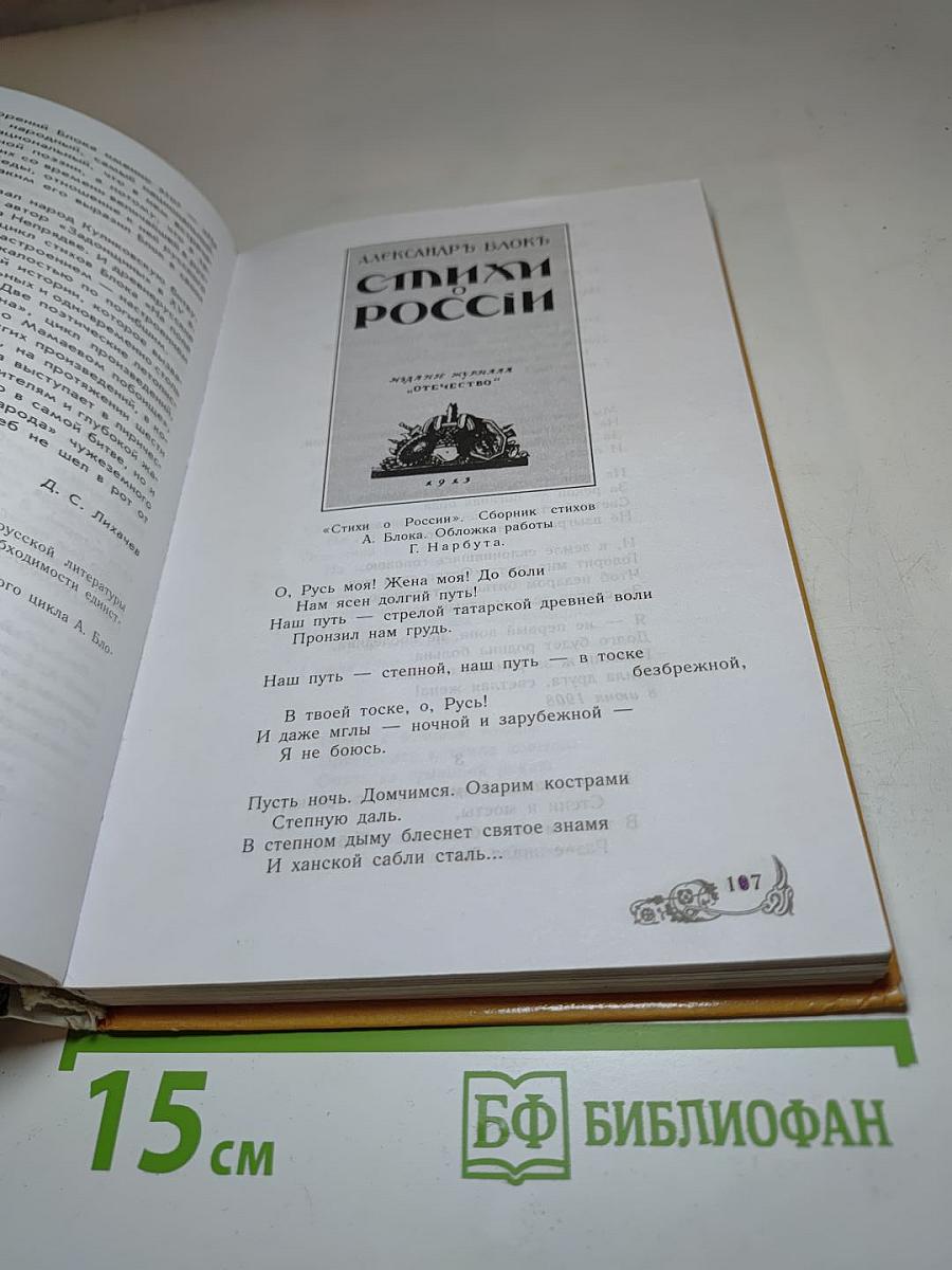 Литература 8 класс, Часть 2