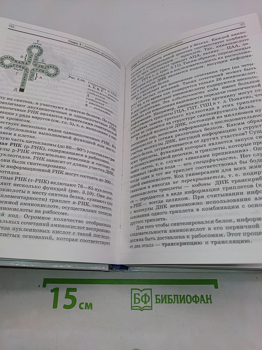 Общая биология. 10-11 классы