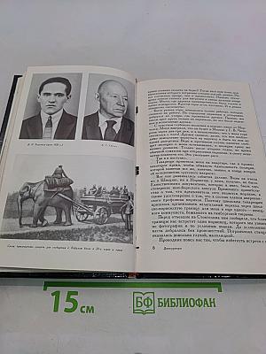 Дипкурьеры. Очерки о первых советских дипломатических курьерах