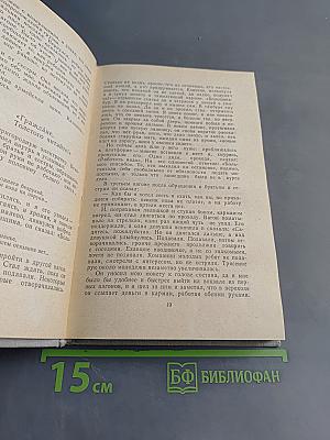 Вербное воскресенье