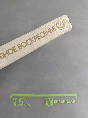 Вербное воскресенье