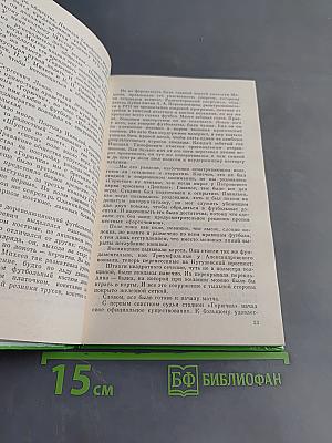 Флагман футбола