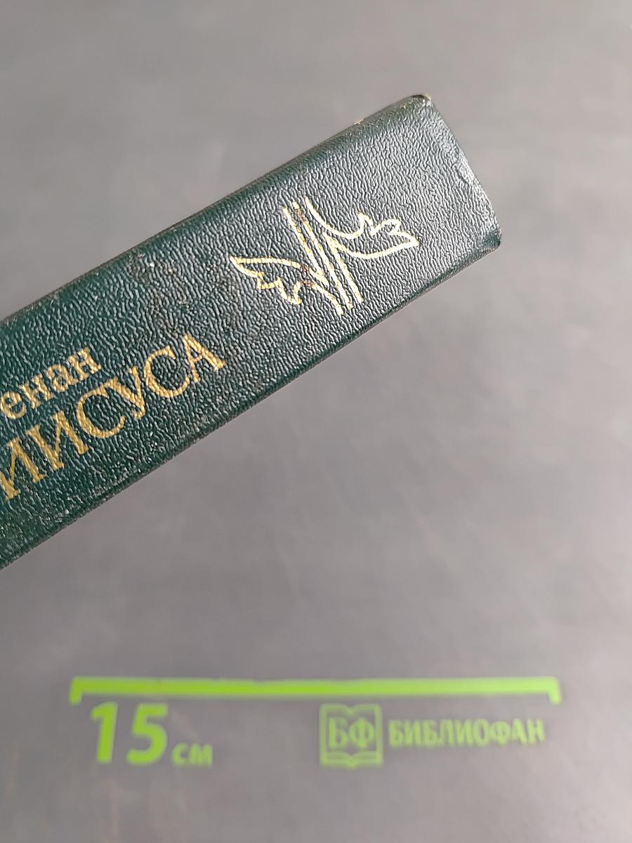 Жизнь Иисуса