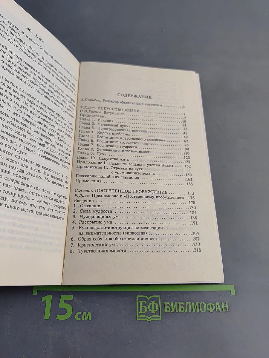 Искусство жизни. Постепенное пробуждение