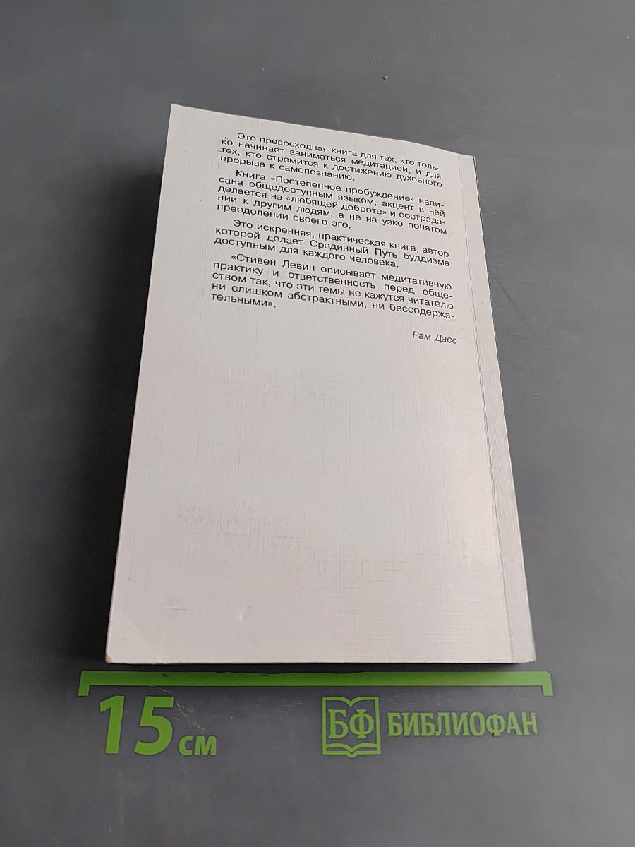 Искусство жизни. Постепенное пробуждение