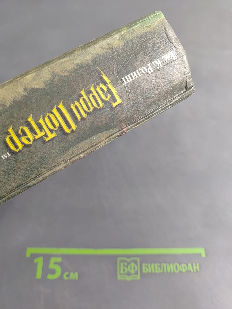 Гарри Поттер и Кубок огня
