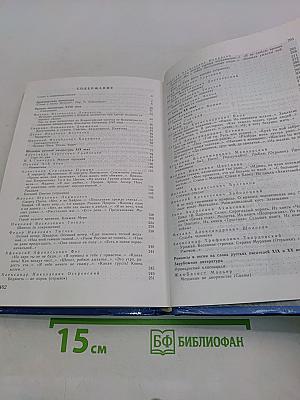 Литература. Учебник-хрестоматия. 9 класс