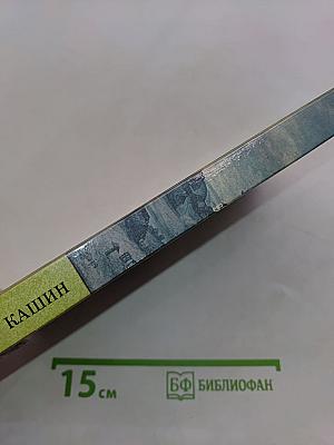 Кашин