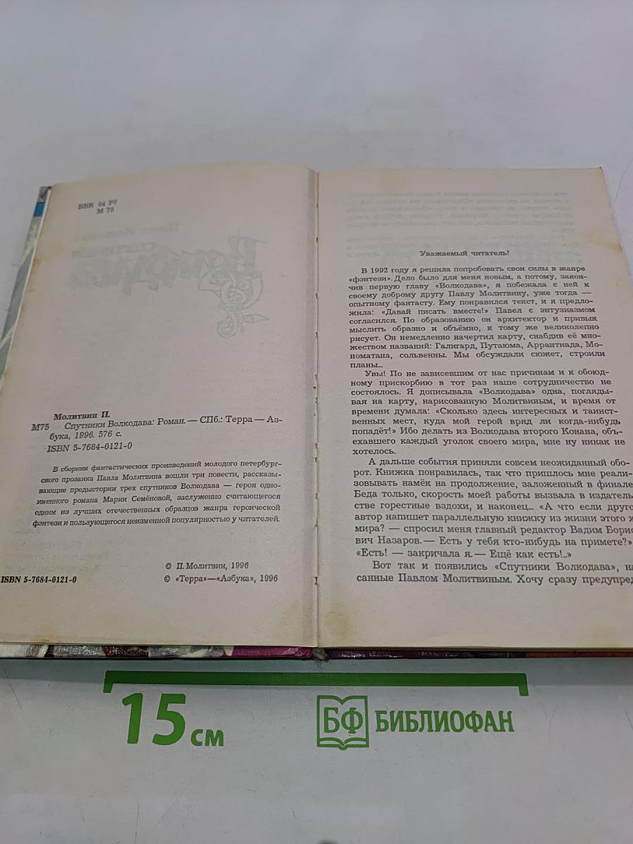 Спутники Волкодава