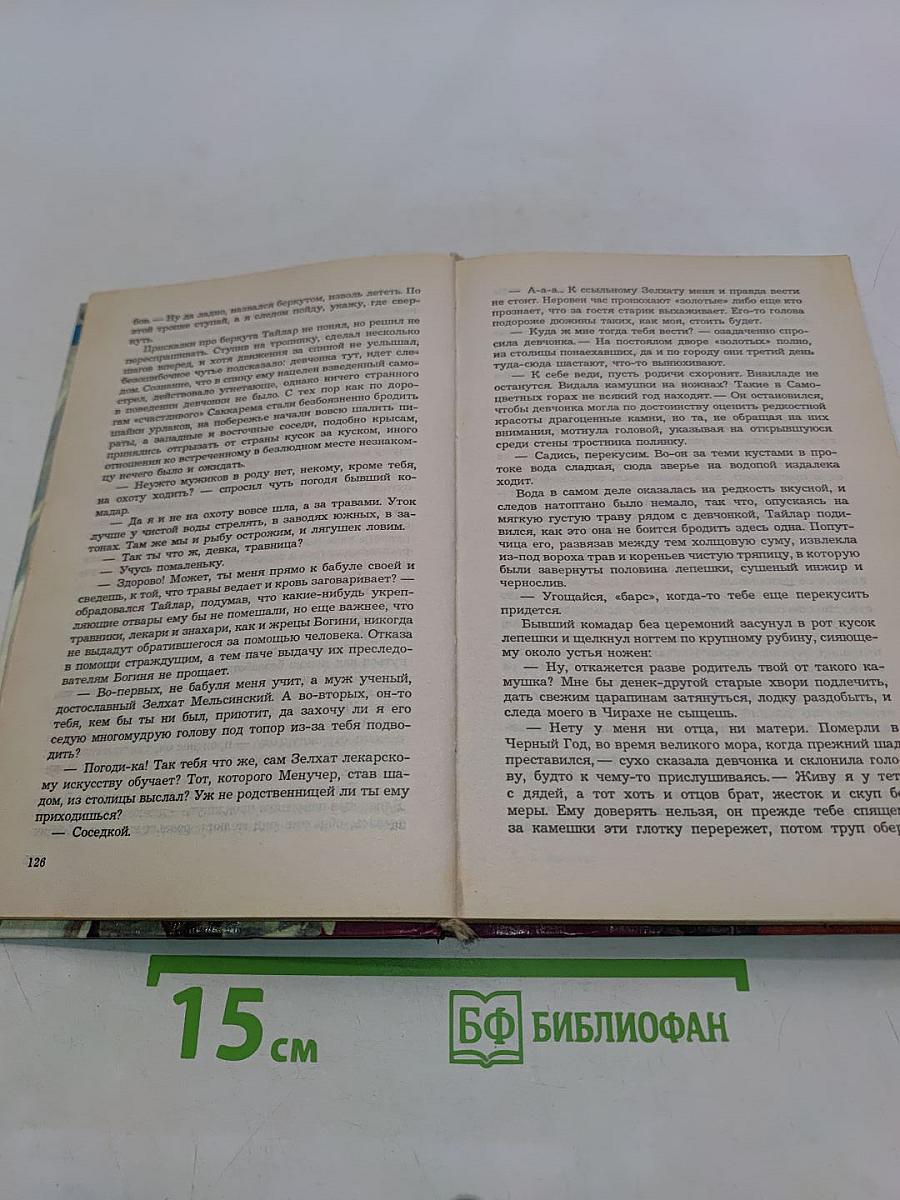 Спутники Волкодава