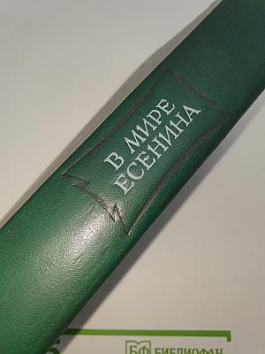 В мире Есенина