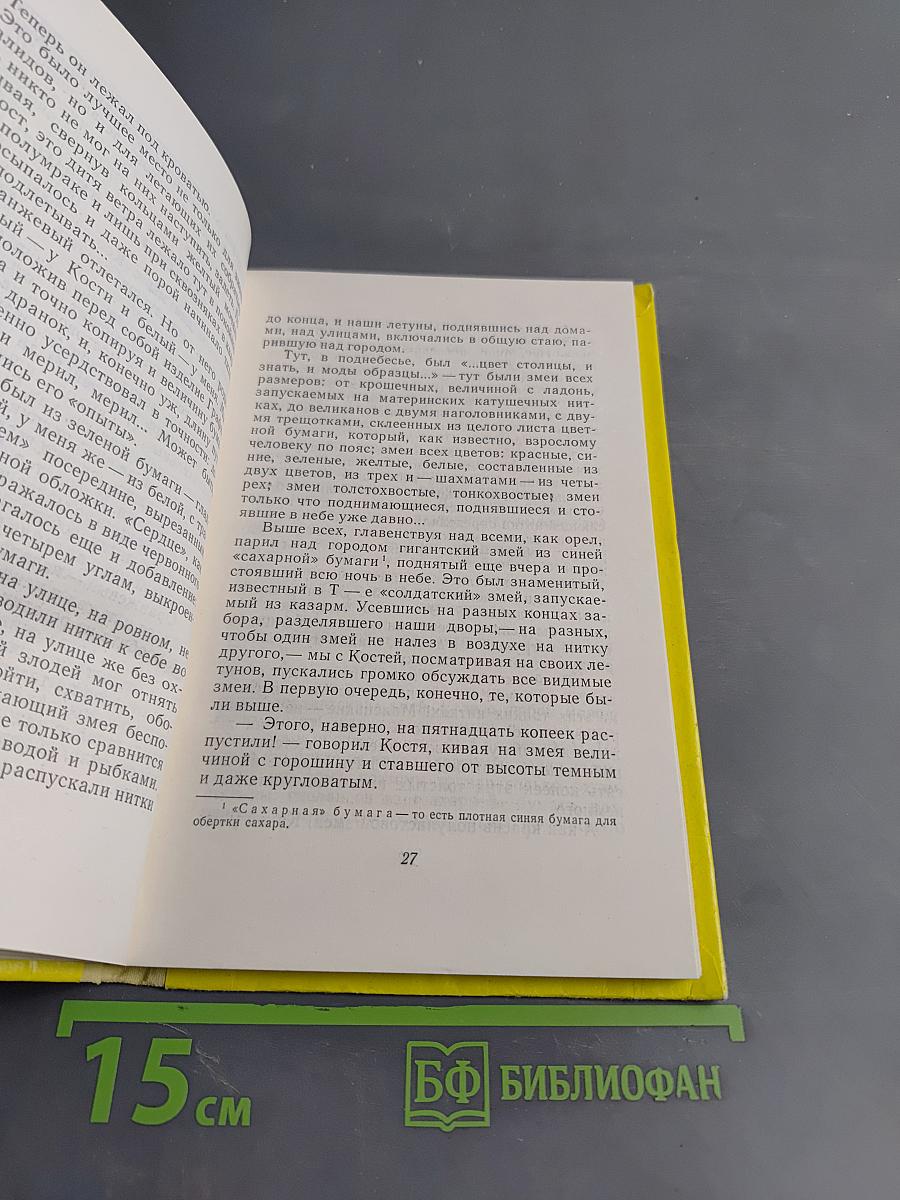 Лето летающих