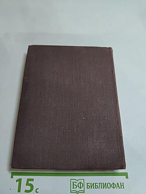 Выстрел в Метехи