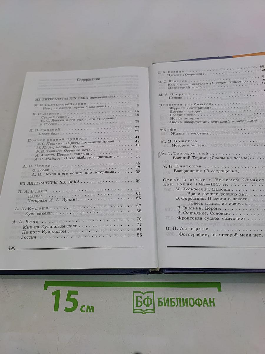 Литература 8 класс. Часть 2