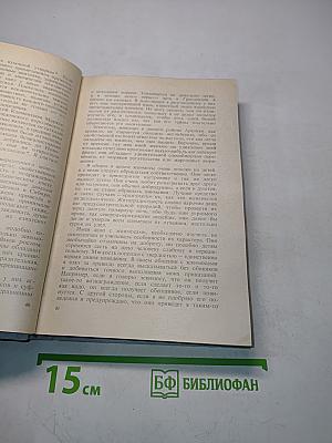 Северный полюс. Южный полюс