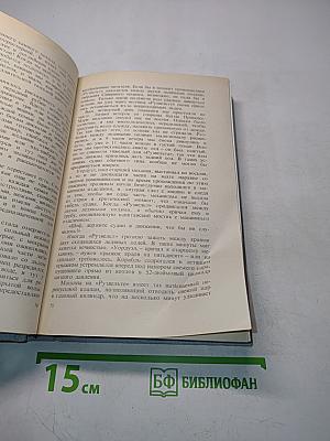 Северный полюс. Южный полюс