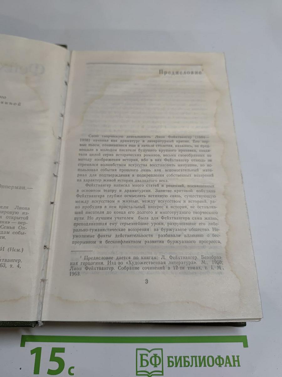 Лион Фейхтвангер. Безобразная герцогиня. Семья Опперман