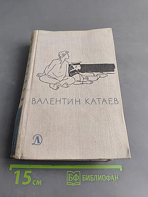 Волны Черного моря. Книга первая. Белеет парус одинокий. Хуторок в степи