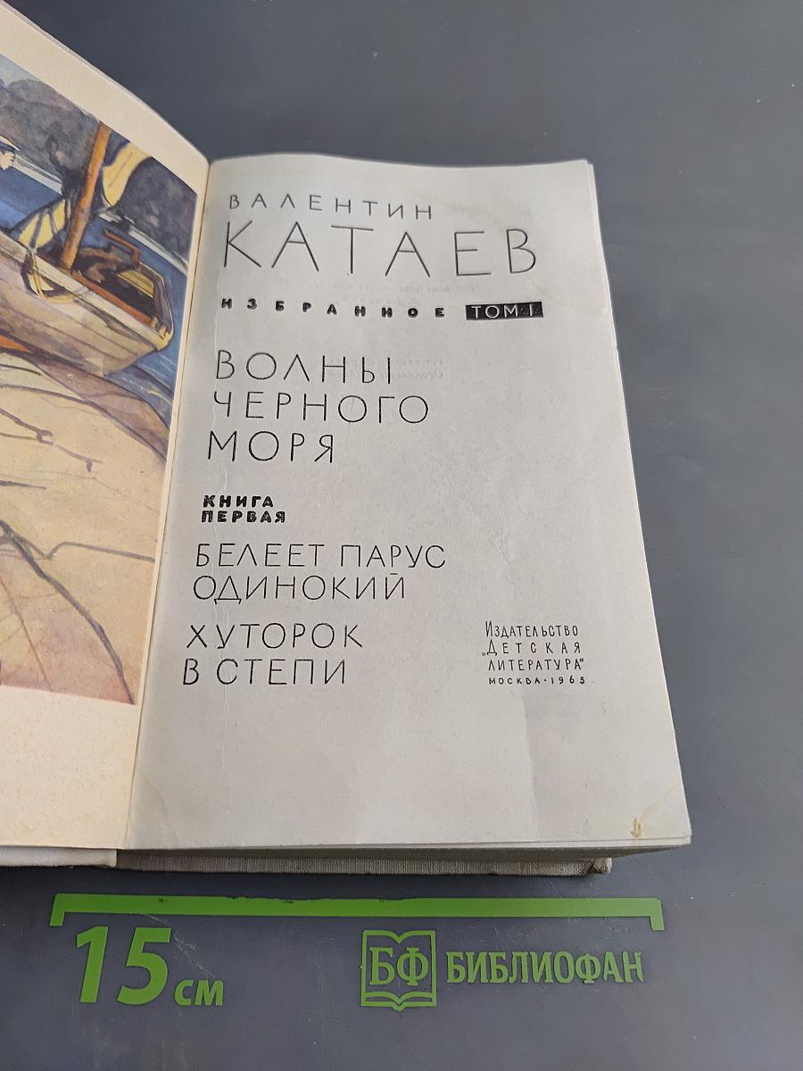 Волны Черного моря. Книга первая. Белеет парус одинокий. Хуторок в степи
