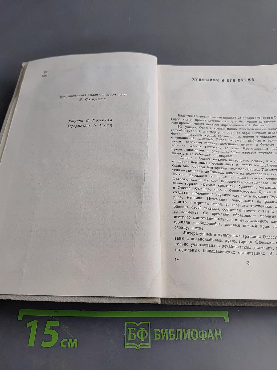 Волны Черного моря. Книга первая. Белеет парус одинокий. Хуторок в степи