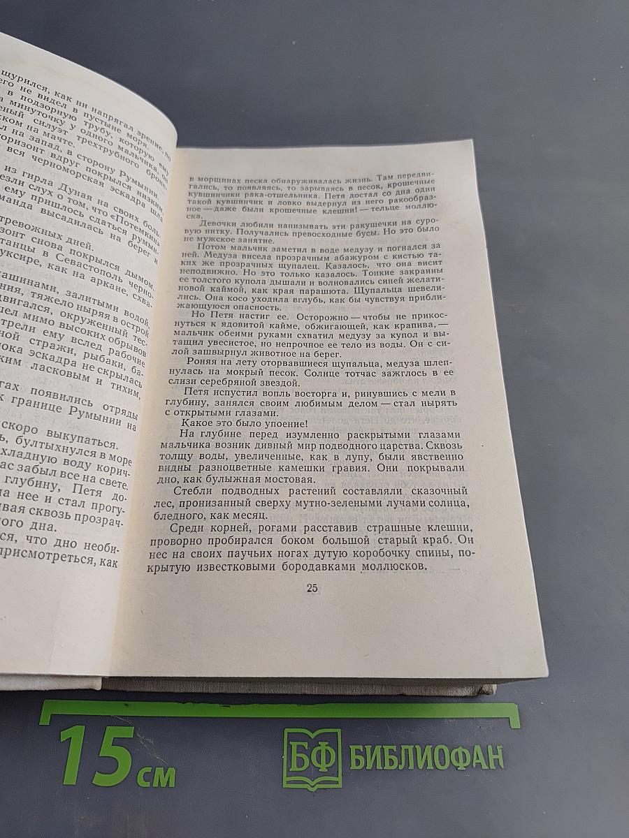 Волны Черного моря. Книга первая. Белеет парус одинокий. Хуторок в степи