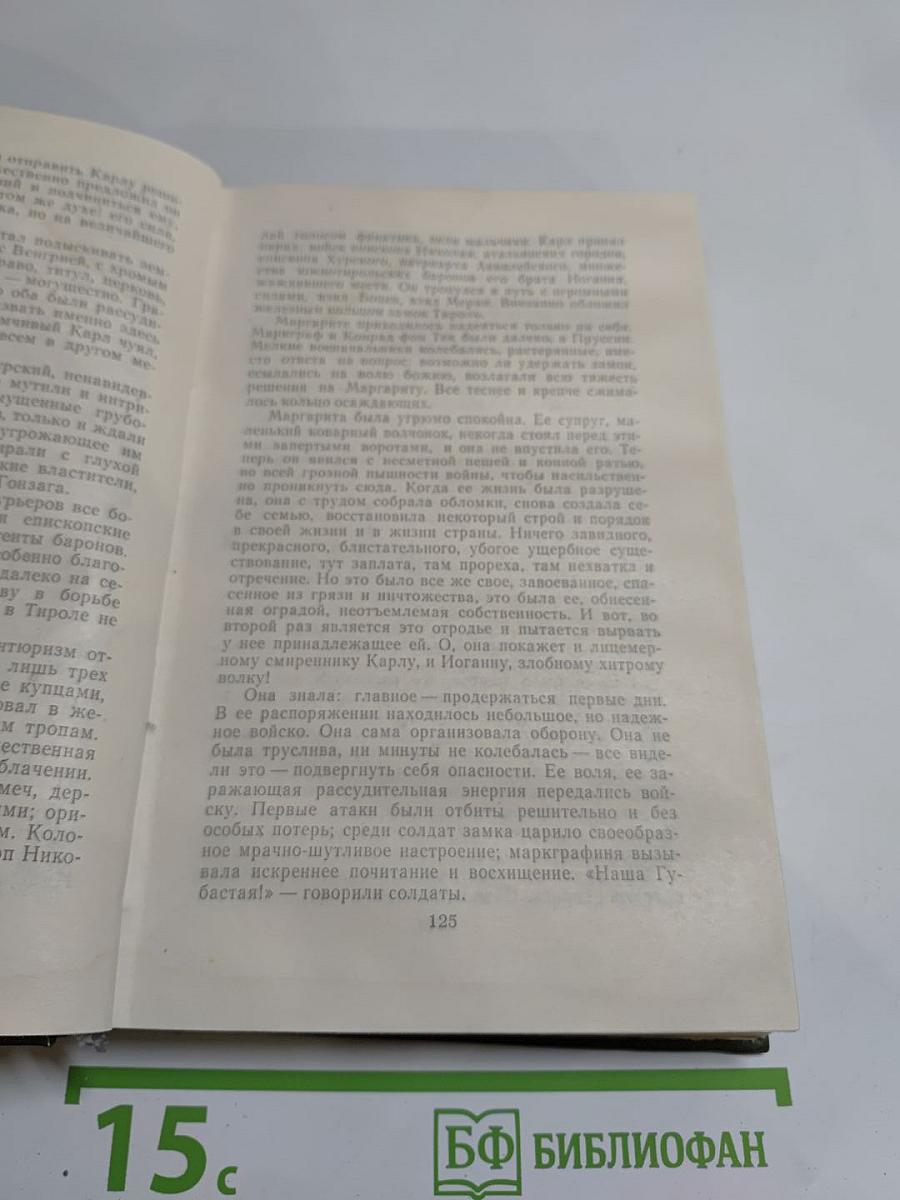 Лион Фейхтвангер. Безобразная герцогиня. Семья Опперман
