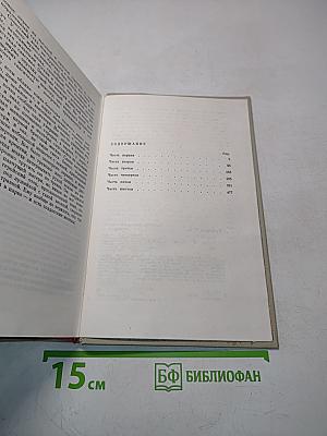 Белая береза