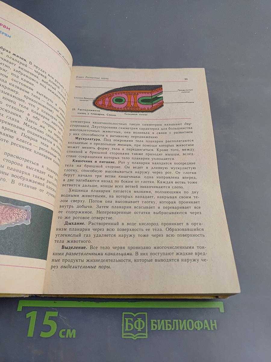 Зоология. Учебник для 6-7 классов средней школы