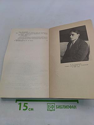 Николай Гумилев. Жизнь поэта по материалам домашнего архива семьи Лукницких