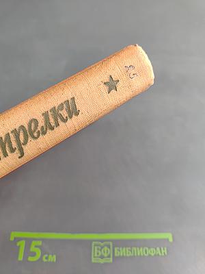 Латышские стрелки