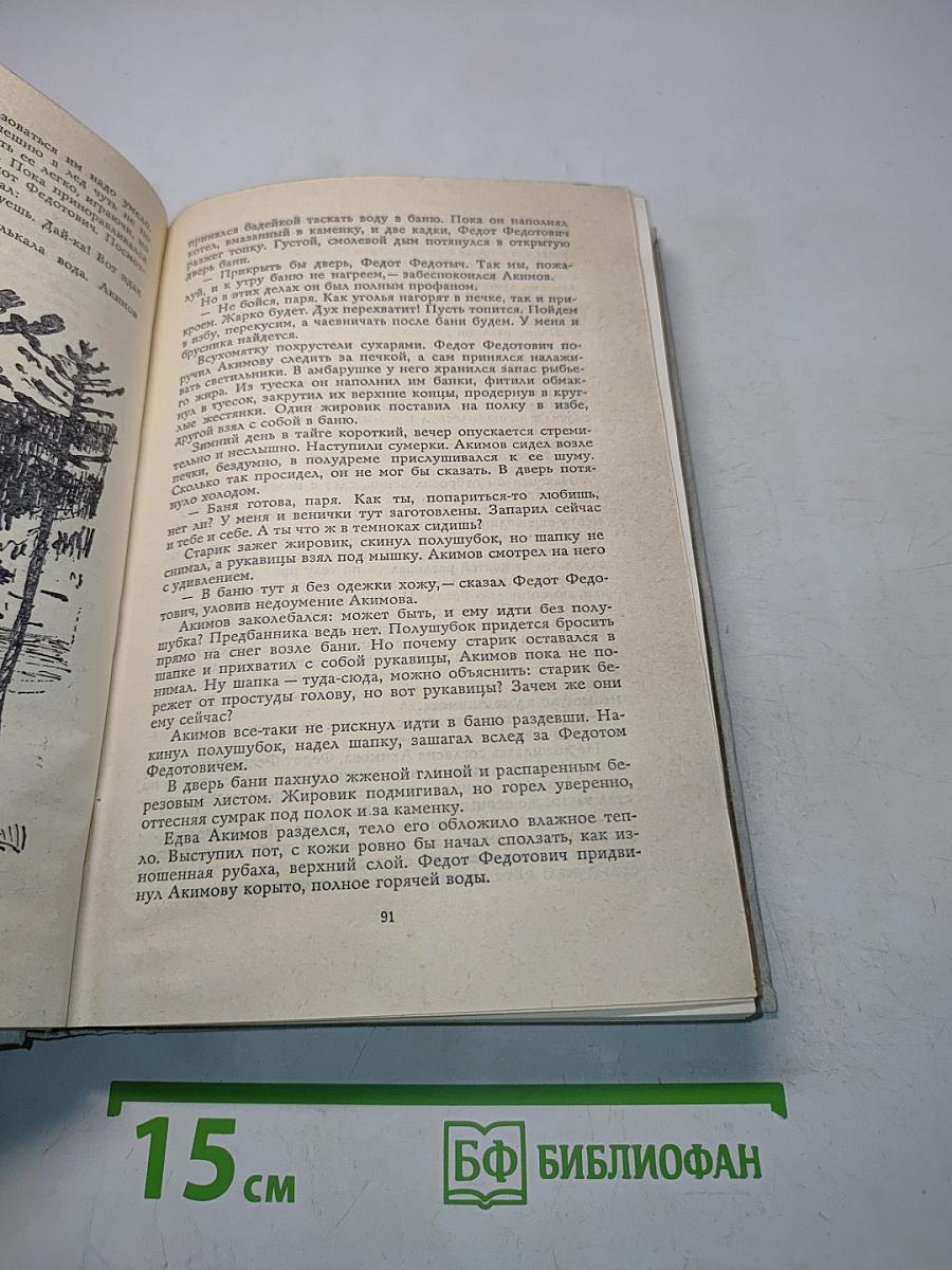 Сибирь. Роман в двух книгах