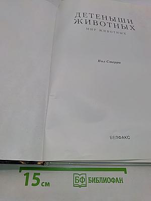 Детеныши животных