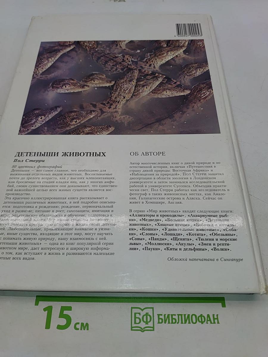 Детеныши животных