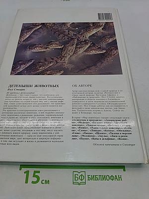 Детеныши животных