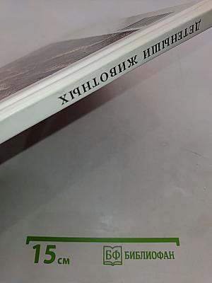 Детеныши животных