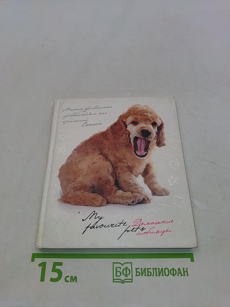 My favourite pets. Домашние любимцы