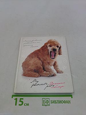 My favourite pets. Домашние любимцы