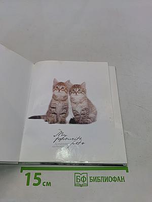 My favourite pets. Домашние любимцы