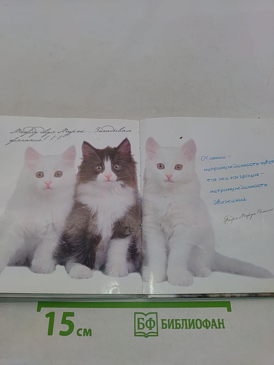My favourite pets. Домашние любимцы