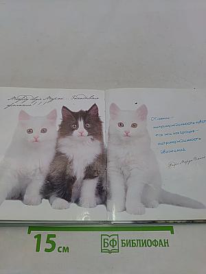 My favourite pets. Домашние любимцы